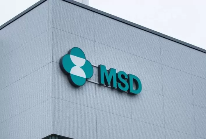 MSD Brasil abre inscrições para programa de estágio em 15 áreas de atuação, em três cidades brasileiras