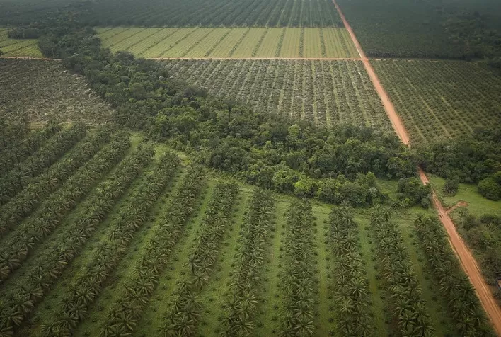 Programa Pravaler reúne produtores para apoiar a regularização ambiental