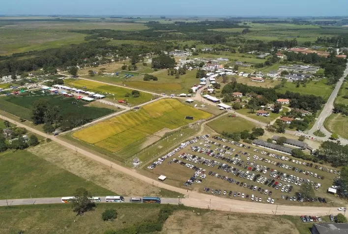 Arrozeiros como produtores multissafras será tema da 33ª Abertura Oficial da Colheita do Arroz