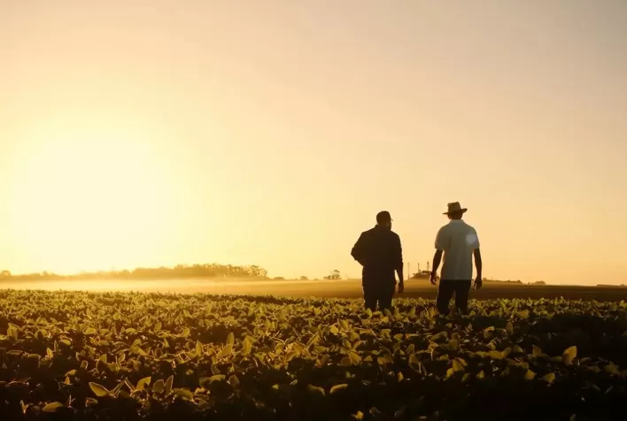 Agricultores do Paraná amargam dívidas após financiar a safra com recursos próprios