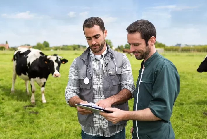 Desafio de startups da Belgo Bekaert busca soluções tecnológicas para centralização de dados no manejo de bovinos criados a pasto