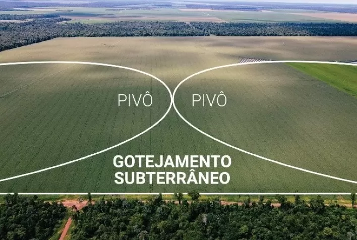 Novidades Netafim em irrigação por gotejamento na AgroBrasília 2022