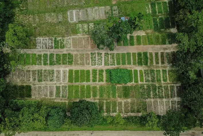 CPR Verde torna-se ferramenta de união entre o agronegócio e a conservação do meio ambiente
