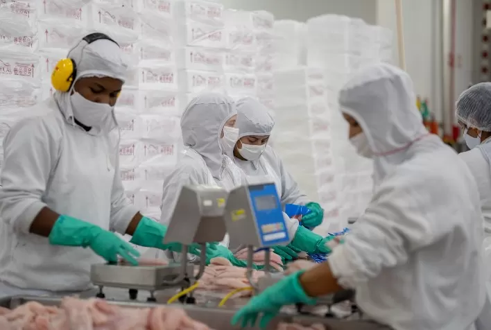 GeneSeas investe na exportação de produtos congelados para a América do Norte