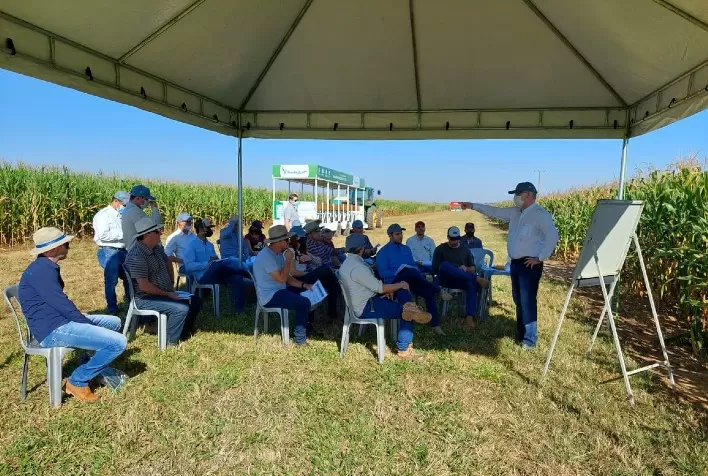 Fundação MT dá início aos eventos de segunda safra