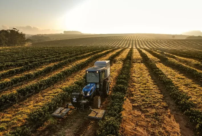 Produtores de citros e café podem contar com tecnologia que elimina daninhas sem herbicidas