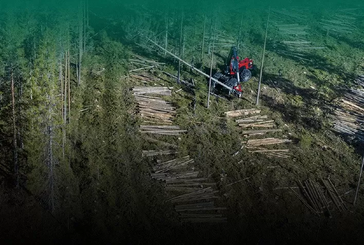 Ouro Verde leva soluções completas ao Show Florestal 2022