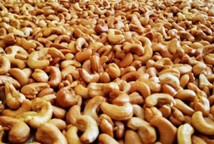 Embrapa sugere limite máximo de contaminantes de cobre para o mercado das castanhas