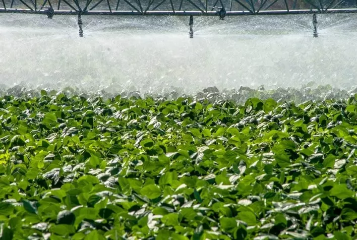 Tecnologias de irrigação são mais produtivas, mas requer bom planejamento
