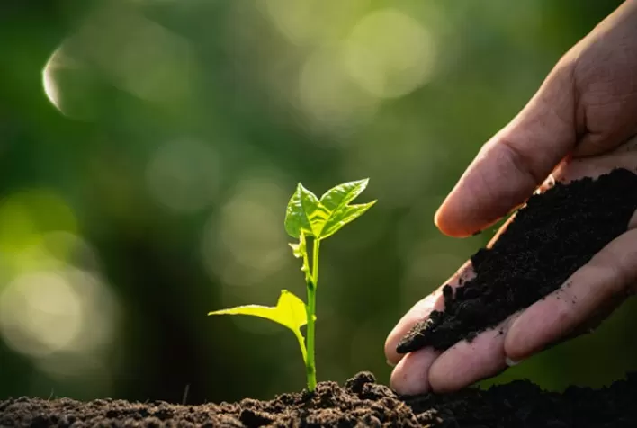 ApexBrasil divulga sustentabilidade do agronegócio brasileiro para mercados europeus
