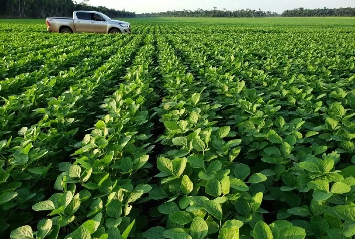 ATTO Sementes apresenta as mais eficientes soluções do campo na Show Agro 2022