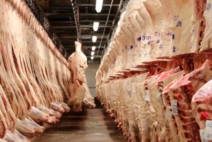 Carne bovina: China suspende importação de unidades da JBS e Marfrig por uma semana