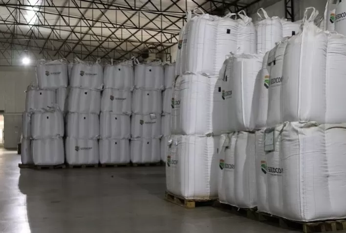 Produtiva Sementes investe R＄ 40 milhões em estrutura de armazenamento de sementes
