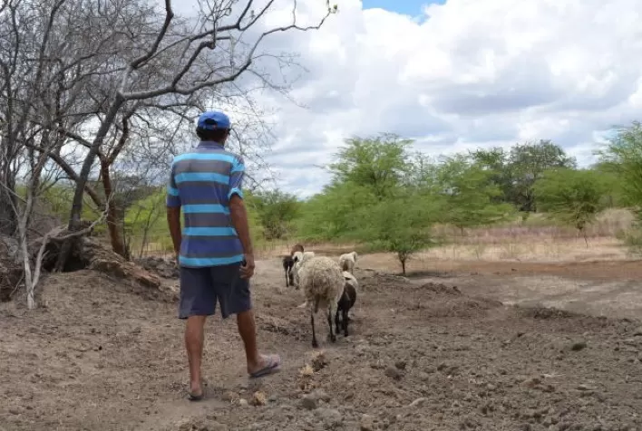 Mais de 92 mil agricultores familiares irão receber Garantia-Safra em maio