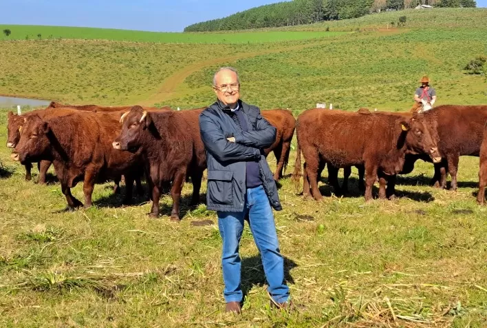 Um ano de zona livre de aftosa sem vacinação: o que mudou para produtores gaúchos