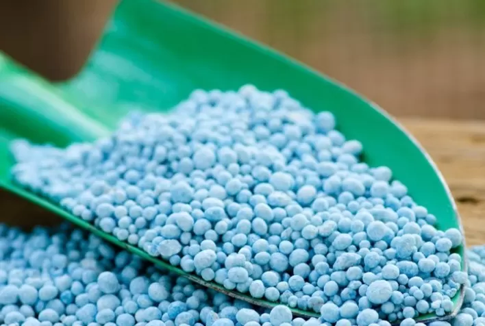 Fertilizantes sobem 350%, comida deve ficar mais cara e pode ter desabastecimento, diz Aprosoja Mato Grosso