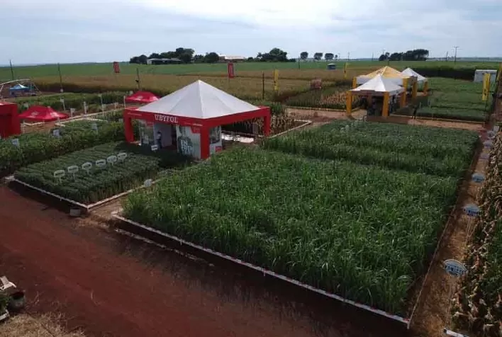 Ubyfol marca presença na Bahia Farm Show com soluções para soja, milho e algodão