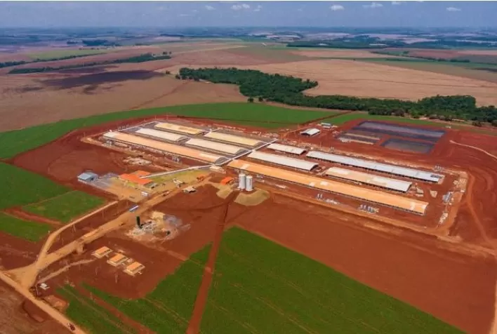 Novo status sanitário do Paraná completa um ano e impulsiona investimentos bilionários