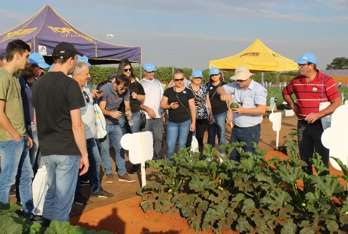 Dia de Campo da Agristar volta a ser presencial e traz novidades para o mercado de horticultura
