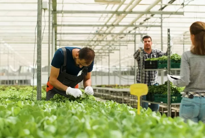 Habilidade com a comunicação torna o jovem um profissional requisitado para o agro do futuro