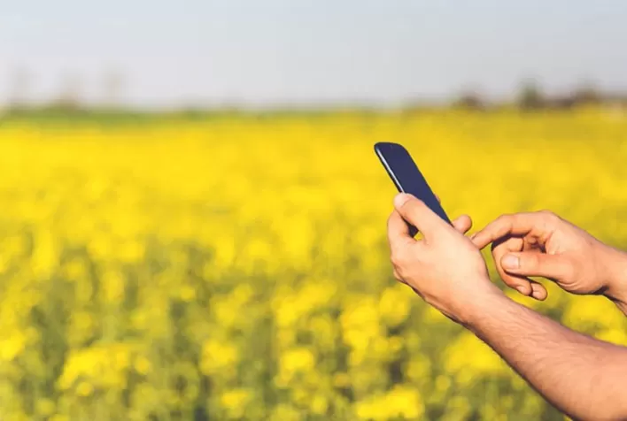 Líderes digitais no agronegócio: um desafio a ser vencido