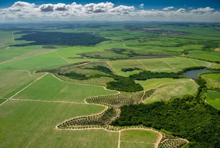 Governo Federal institui plano nacional para atender exigências do Código Florestal