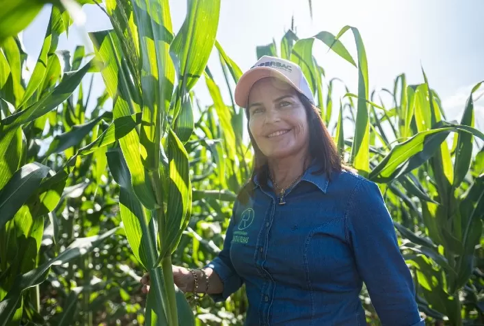 Fertilizante biotecnológico estimula produtividade em agropecuária
