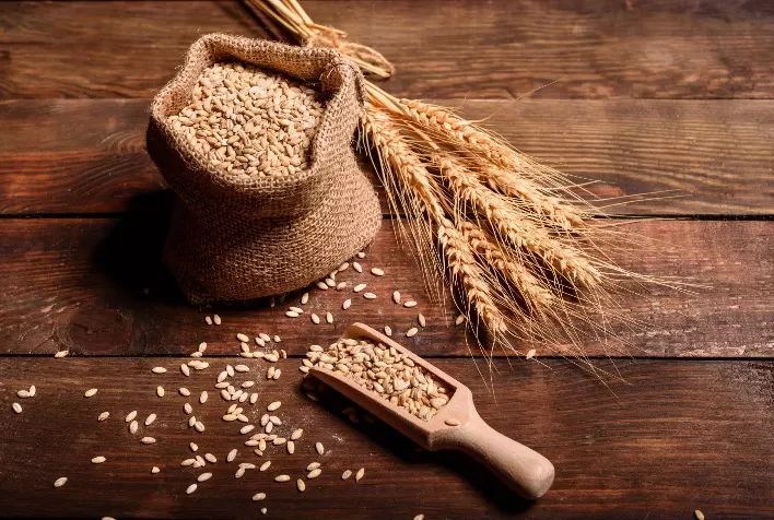 Consumo e produção de trigo crescem e impactam positivamente Região dos Campos Gerais