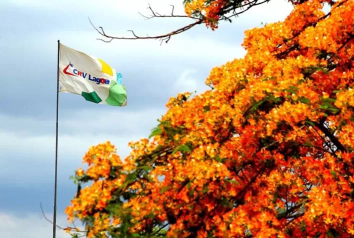 CRV Brasil aposta nas pessoas e tem maior desempenho do grupo em todo o mundo
