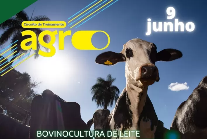 Bovinocultura de leite será pauta de evento em Viçosa
