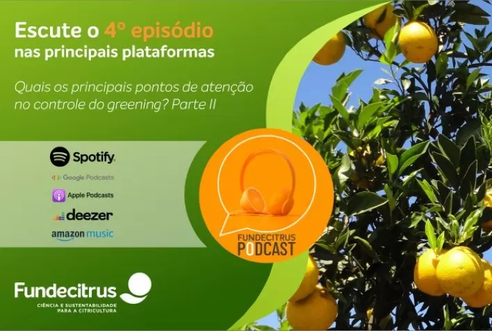 O 4ª episódio do Fundecitrus Podcast continua abordando os principais pontos de atenção no controle do greening
