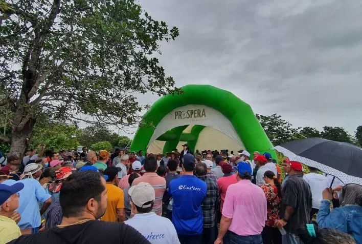 Programa Prospera fortalece cadeia produtiva de milho no Nordeste
