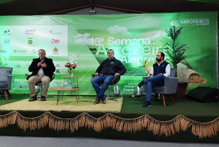 Especialistas salientam que exportação de arroz é um caminho sem volta