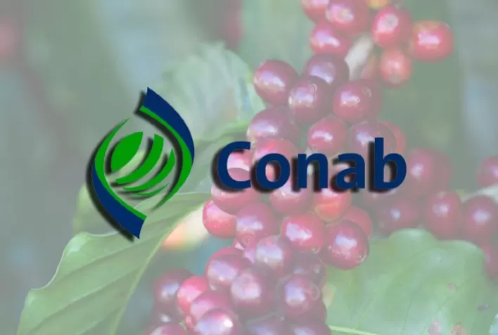 Conab realiza painéis de custo de produção do café arábica em dois municípios