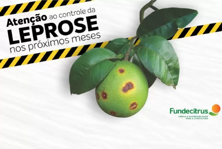 Fundecitrus alerta para o controle da leprose nos próximos meses