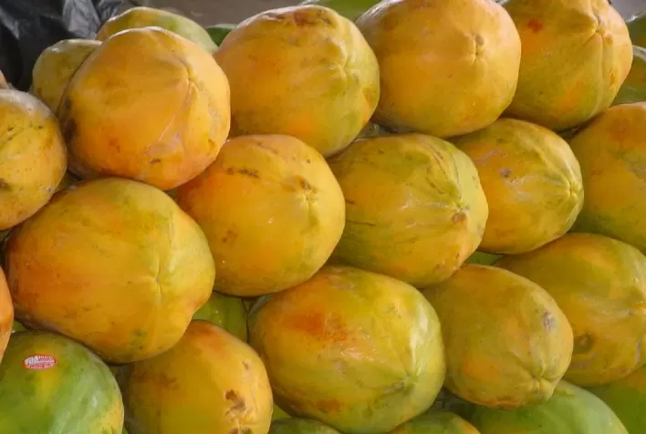 Mamão: Menores temperaturas desaceleram mercado em maio