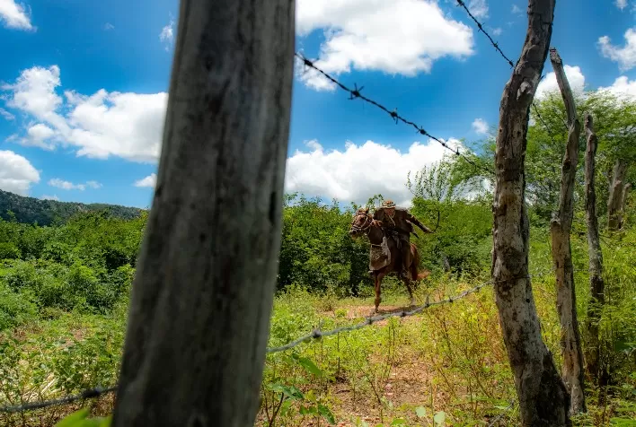 Campanha retrata riqueza da produção agropecuária no sertão nordestino