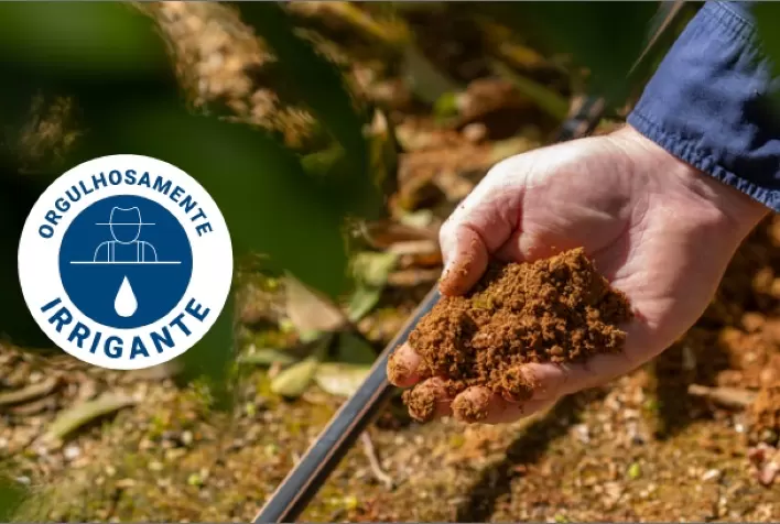 Netafim lança programa para capacitar estudantes e recém-formados para atuação no mercado de irrigação