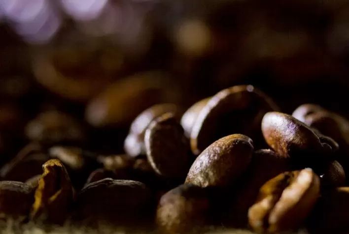 Adido do USDA estima safra 2022/23 de café do Brasil em 64,3 milhões de sacas