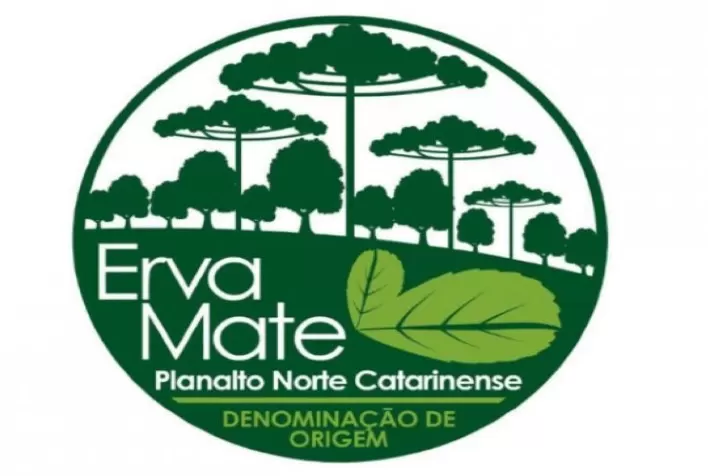 Faesc comemora reconhecimento de Indicação Geográfica da erva-mate do norte catarinense