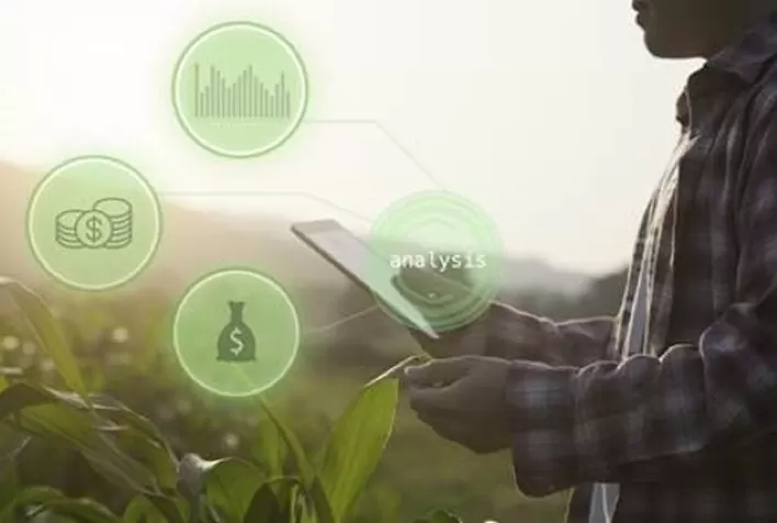 Softsul é referência em software para o agronegócio
