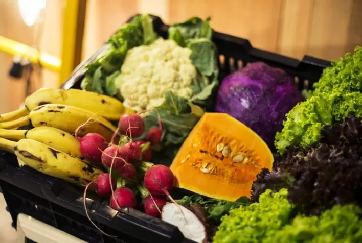 3 anos após a entrada em vigor do acordo de equivalência compras de alimentos orgânicos ao Chile aumentam 24%