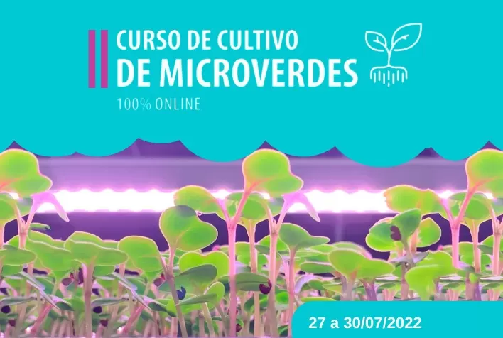 Curso abordará Cultivo de Microverdes