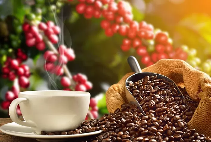 Com a presença do CNC, OIC aprova proposta de texto do Novo Acordo Internacional do Café