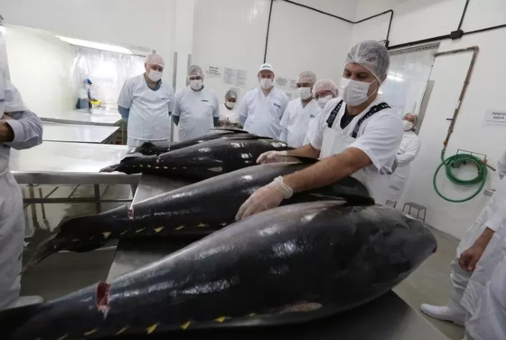 Pescas industrial e artesanal de atum garantem posição de destaque nas exportações do Rio Grande do Norte