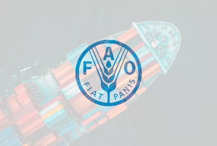 Novas tendências da FAO para a importação mundial de carne avícola em 2022