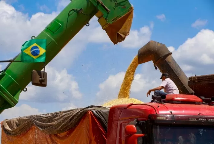 Colheita da 2ª safra de milho começa no Paraná; previsão é de 16 milhões de toneladas