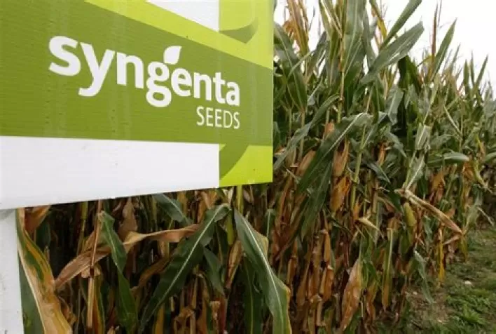 Syngenta Seeds reforça gestão inteligente de dados com solução de analytics da TOPMIND