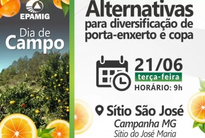MG: Epamig realiza Dia de Campo gratuito sobre citricultura