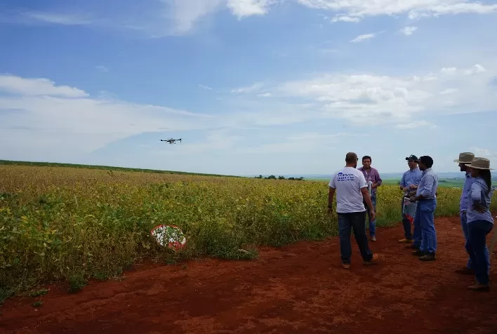 Uso de drones elimina perdas causadas por máquinas na plantação de soja durante aplicação de defensivos